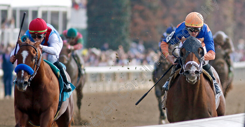 Giant-Mischief-0005 
 GIANT MISCHIEF (right, Florent Geroux) beats ARABIAN LION (left) in The Lanark Allowance
Breeders Cup Meeting, Keeneland USA, 4 Nov 2022 - Pic Steven Cargill / Racingfotos.com