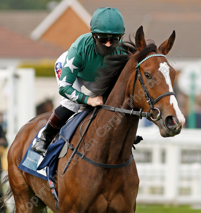 Majestic-Noor-0001 
 MAJESTIC NOOR (Hollie Doyle) before winning The EBF Stallions John Musker Fillies Stakes
Yarmouth 16 Sep 2020 - Pic Steven Cargill / Racingfotos.com