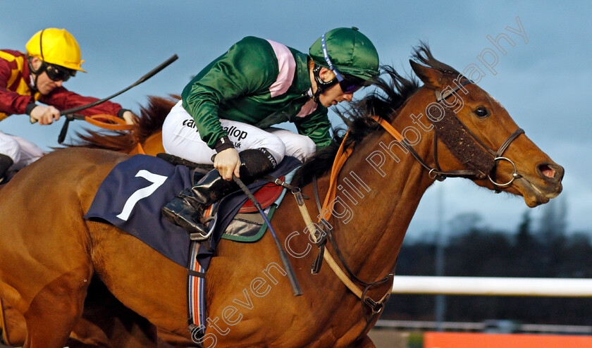 Pulsating-0005 
 PULSATING (Edward Greatrex) wins The Betway Sprint Handicap Wolverhampton 4 Jan 2018 - Pic Steven Cargill / Racingfotos.com