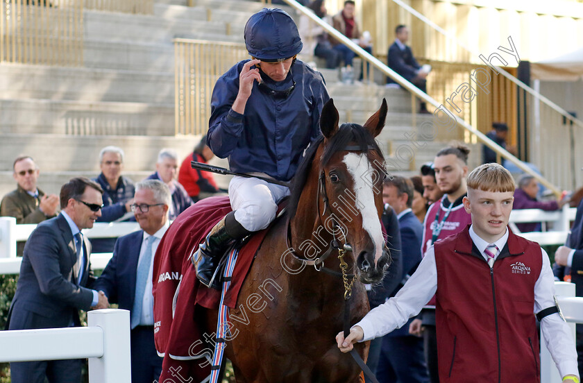 Mount-Kilimanjaro-0007 
 MOUNT KILIMANJARO (Ryan Moore) winner of The Arqana Series Haras de Bouquetot Criterium d'Automne
Longchamp 5 Oct 2024 - Pic Steven Cargill / Racingfotos.com