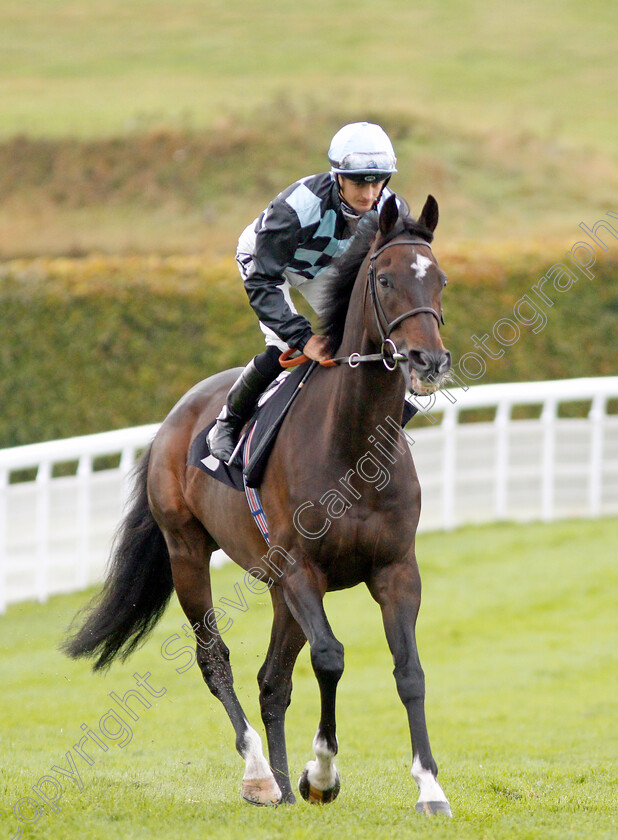 Air-Pilot-0002 
 AIR PILOT (Harry Bentley) before The British Stallion Studs EBF Foundation Stakes
Goodwood 25 Sep 2019 - Pic Steven Cargill / Racingfotos.com