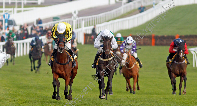 Allmankind-0005 
 ALLMANKIND (left, Harry Skelton) beats BOTOX HAS (centre) in The JCB Triumph Trial Juvenile Hurdle
Cheltenham 16 Nov 2019 - Pic Steven Cargill / Racingfotos.com