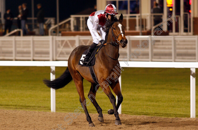 French-Sparkle-0001 
 FRENCH SPARKLE (Jonathan Fisher) Chelmsford 1 Dec 2017 - Pic Steven Cargill / Racingfotos.com