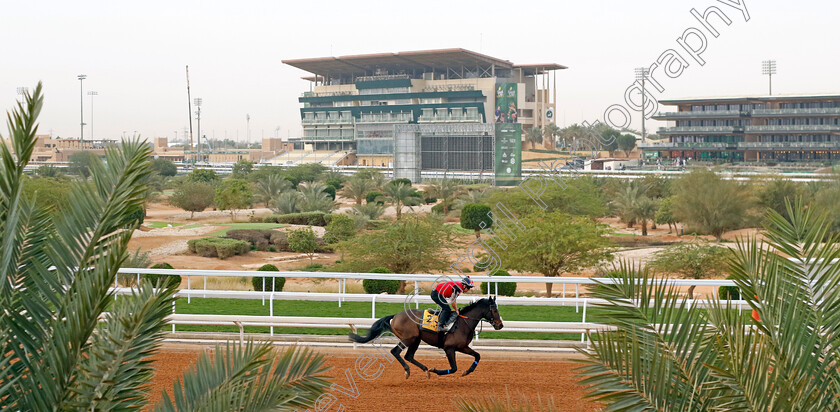 Astro-King-0001 
 ASTRO KING training for The Neom Turf Cup
King Abdulaziz Racetrack, Saudi Arabia 22 Feb 2024 - Pic Steven Cargill / Racingfotos.com