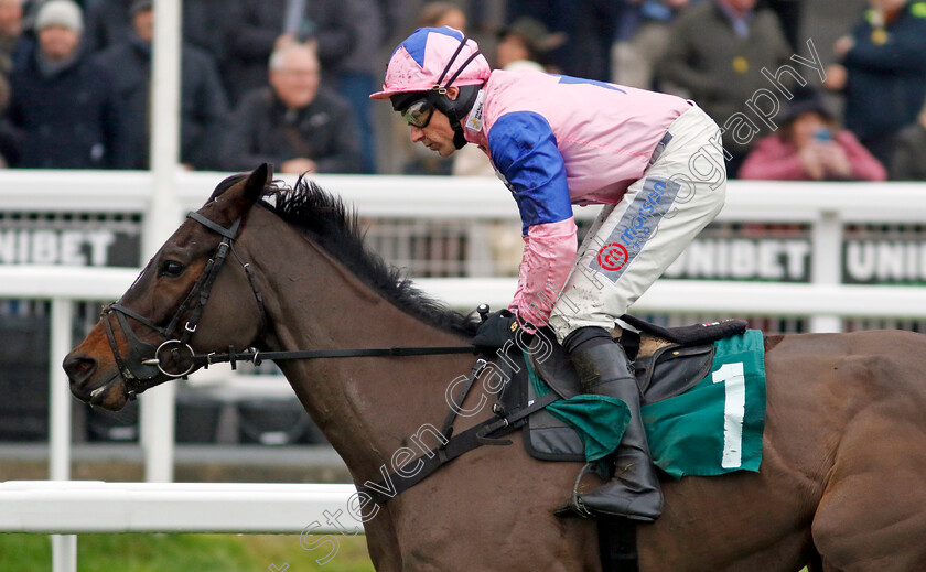 Country-Mile-0001 
 COUNTRY MILE (Harry Skelton) wins The British EBF National Hunt Novices Hurdle
Cheltenham 13 Dec 2024 - Pic Steven Cargill / Racingfotos.com