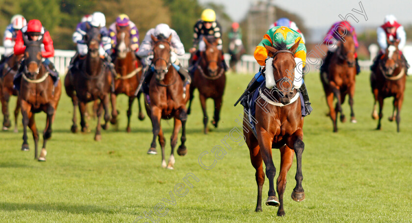 Gamesters-Icon-0004 
 GAMESTERS ICON (Megan Nicholls) wins The Nailsea Electrical Kitchen And Appliance Fillies Handicap
Bath 16 Oct 2019 - Pic Steven Cargill / Racingfotos.com