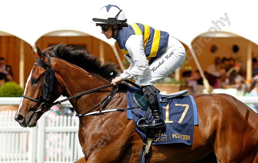 Highland-Bling-0002 
 HIGHLAND BLING (Rachel King)
Royal Ascot 20 Jun 2024 - Pic Steven Cargill / Racingfotos.com