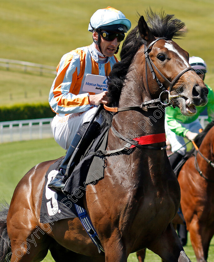 Royal-Blaze-0001 
 ROYAL BLAZE (Dougie Costello)
Goodwood 26 May 2023 - Pic Steven Cargill / Racingfotos.com