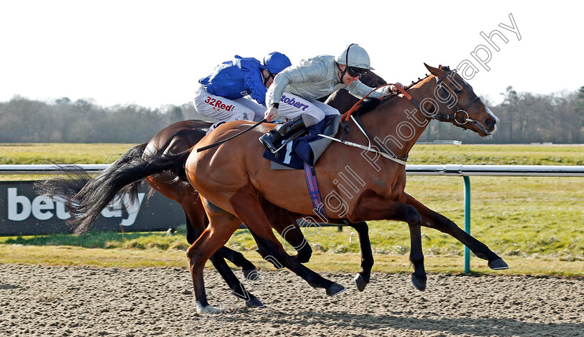 Vale-Of-Kent-0001 
 VALE OF KENT (Joe Fanning) wins The 32Red.com Novice Stakes Lingfield 16 Feb 2018 - Pic Steven Cargill / Racingfotos.com