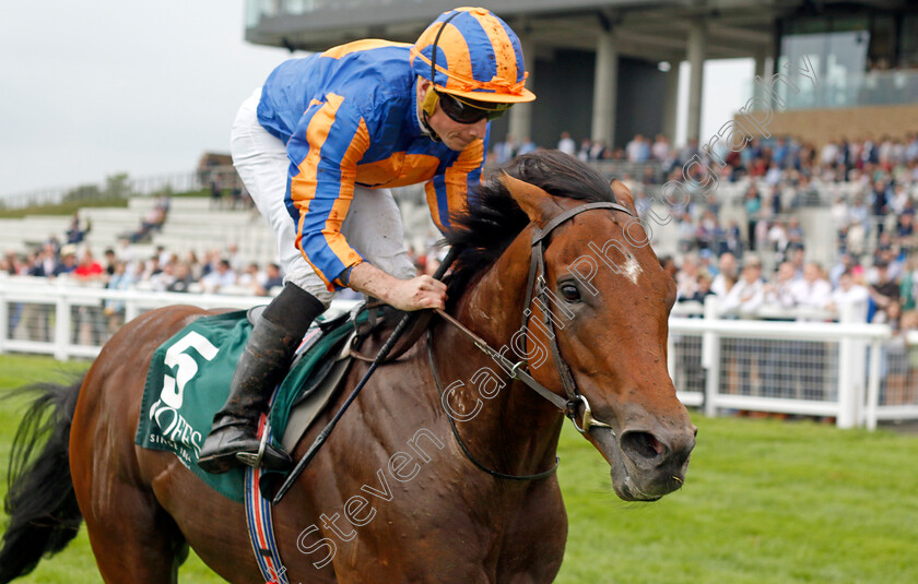 Henry-Longfellow-0006 
 HENRY LONGFELLOW (Ryan Moore) wins The Goffs Vincent O'Brien National Stakes
The Curragh 10 Sep 2023 - Pic Steven Cargill / Racingfotos.com