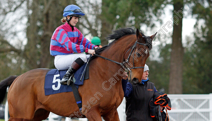 Tynecastle-Park-0006 
 TYNECASTLE PARK (Molly Presland)
Lingfield 1 Dec 2021 - Pic Steven Cargill / Racingfotos.com