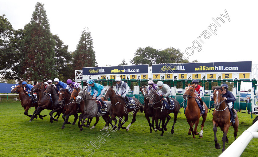 Kew-Gardens-0004 
 KEW GARDENS (purple cap, Ryan Moore) breaks from the stalls with the field for The William Hill St Leger
Doncaster 15 Sep 2018 - Pic Steven Cargill / Racingfotos.com