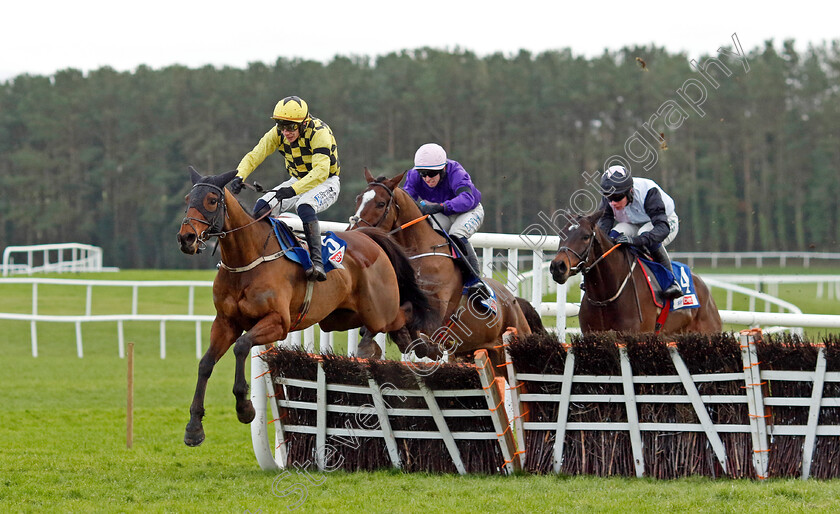 Salvator-Mundi-0001 
 SALVATOR MUNDI (Paul Townend) wins the Sky Bet Moscow Flyer Novice Hurdle
Punchestown 12 Jan 2025 - Pic Steven Cargill / Racingfotos.com