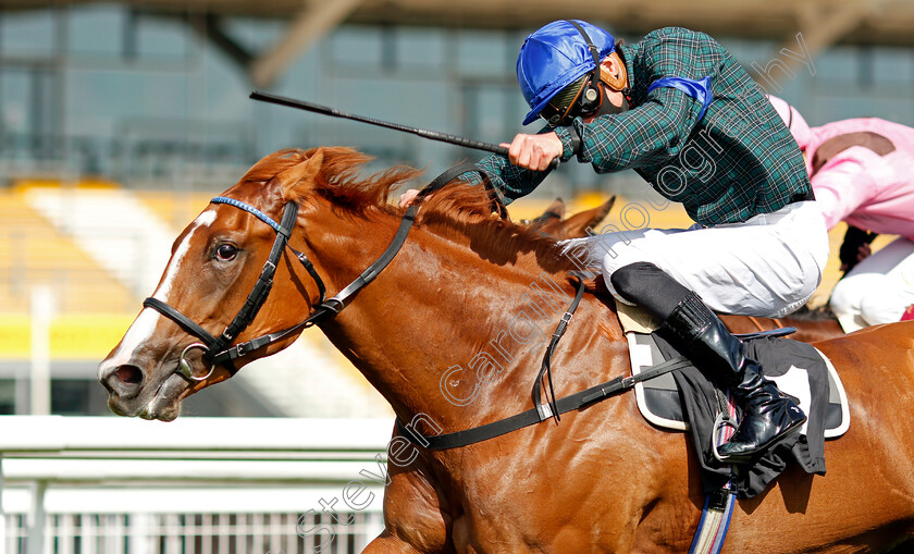 Mirage-Mac-0004 
 MIRAGE MAC (James Doyle) wins The Racing TV Novice Median Auction Stakes
Newbury 18 Sep 2020 - Pic Steven Cargill / Racingfotos.com