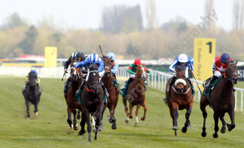 Mohaather-0004 
 MOHAATHER (left, Jim Crowley) beats GREAT SCOT (right) in The Watership Down Stud Greenham Stakes
Newbury 13 Apr 2019 - Pic Steven Cargill / Racingfotos.com