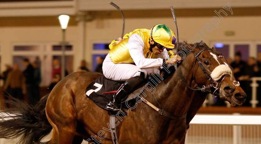 Pinnata-0004 
 PINNATA (Sean Levey) wins The Bet In Play At totesport.com Handicap
Chelmsford 29 Nov 2018 - Pic Steven Cargill / Racingfotos.com