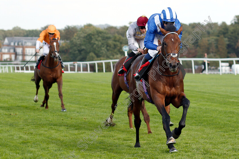 Wadilsafa-0006 
 WADILSAFA (Jim Crowley) wins The Smarkets Fortune Stakes
Sandown 19 Sep 2018 - Pic Steven Cargill / Racingfotos.com