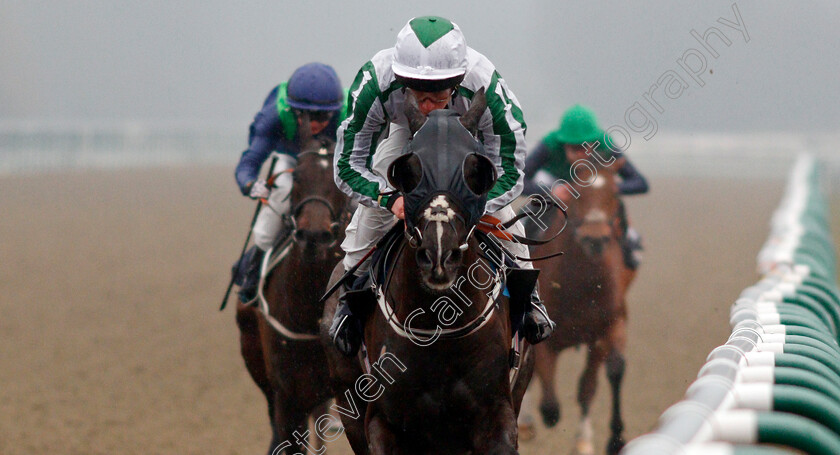 Author s-Dream-0004 
 AUTHOR'S DREAM (Jason Watson) wins The Betway Apprentice Handicap Lingfield 3 Mar 2018 - Pic Steven Cargill / Racingfotos.com