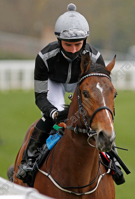 War-Of-Courage-0002 
 WAR OF COURAGE (Rossa Ryan)
Ascot 28 Apr 2021 - Pic Steven Cargill / Racingfotos.com