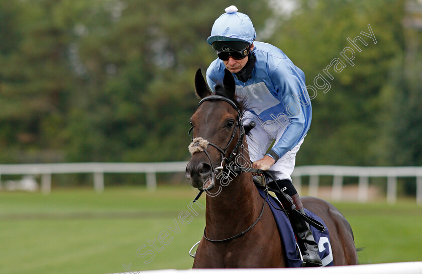 Harrier-Hawk-0001 
 HARRIER HAWK (Robert Havlin)
Lingfield 14 Aug 2020 - Pic Steven Cargill / Racingfotos.com