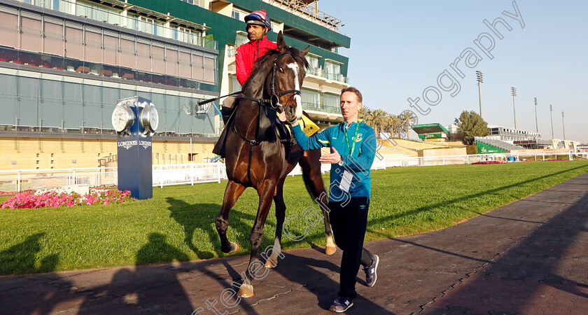 Pyledriver-0002 
 PYLEDRIVER with Martin Dwyer, training for the Neom Turf Cup
King Abdulaziz Racetrack, Riyadh, Saudi Arabia 23 Feb 2022 - Pic Steven Cargill / Racingfotos.com