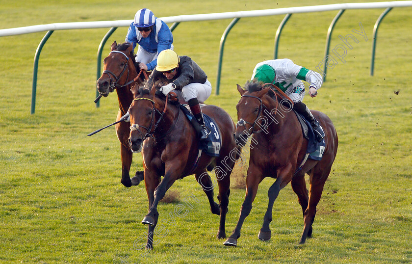 Ginistrelli-0004 
 GINISTRELLI (left, Gerald Mosse) beats JAMES PARK WOODS (right) in The British EBF Novice Stakes
Newmarket 24 Oct 2018 - Pic Steven Cargill / Racingfotos.com