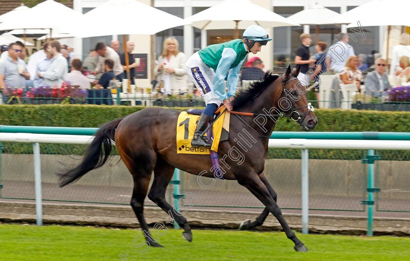 Kind-Of-Blue-0001 
 KIND OF BLUE (Daniel Muscutt)
Haydock 7 Sep 2024 - Pic Steven Cargill / Racingfotos.com