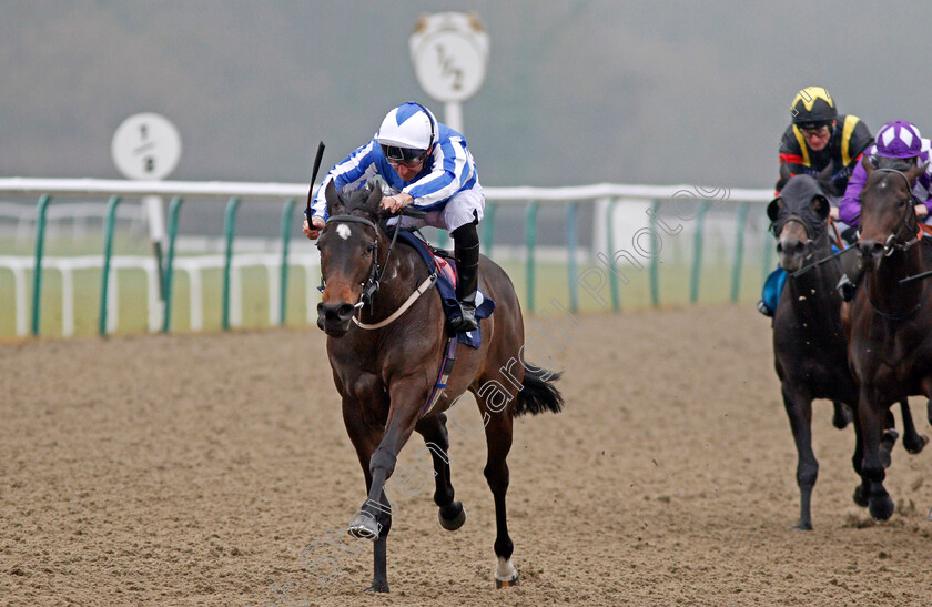 Felisa-0002 
 FELISA (John Egan) wins The 32Red.com Handicap Lingfield 12 Jan 2018 - Pic Steven Cargill / Racingfotos.com