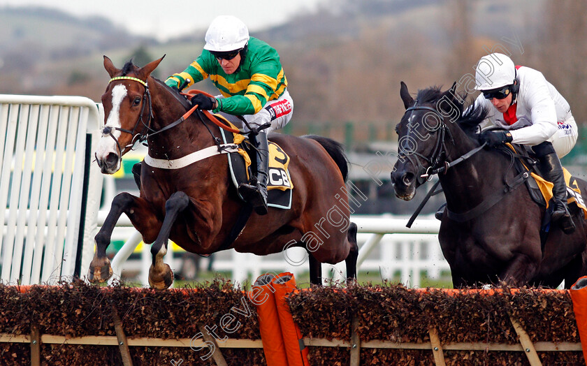 Apple s-Shakira-0005 
 APPLE'S SHAKIRA (left, Barry Geraghty) beats NUBE NEGRA (right) in The JCB Triumph Trial Juvenile Hurdle Cheltenham 16 Dec 2017 - Pic Steven Cargill / Racingfotos.com