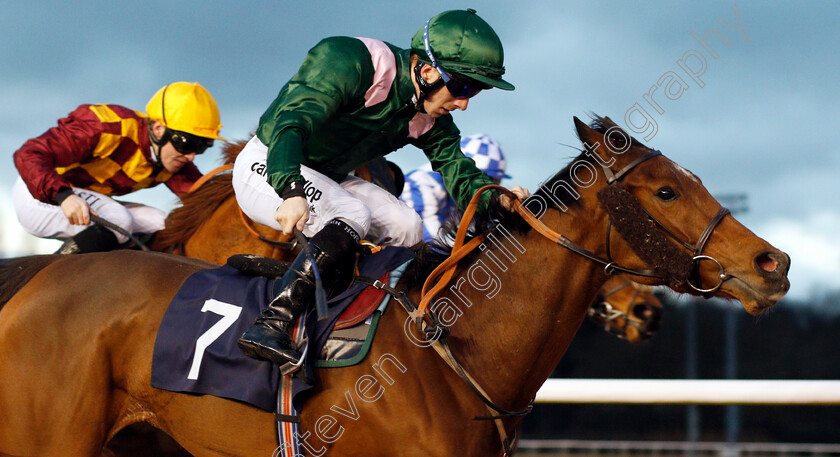 Pulsating-0004 
 PULSATING (Edward Greatrex) wins The Betway Sprint Handicap Wolverhampton 4 Jan 2018 - Pic Steven Cargill / Racingfotos.com