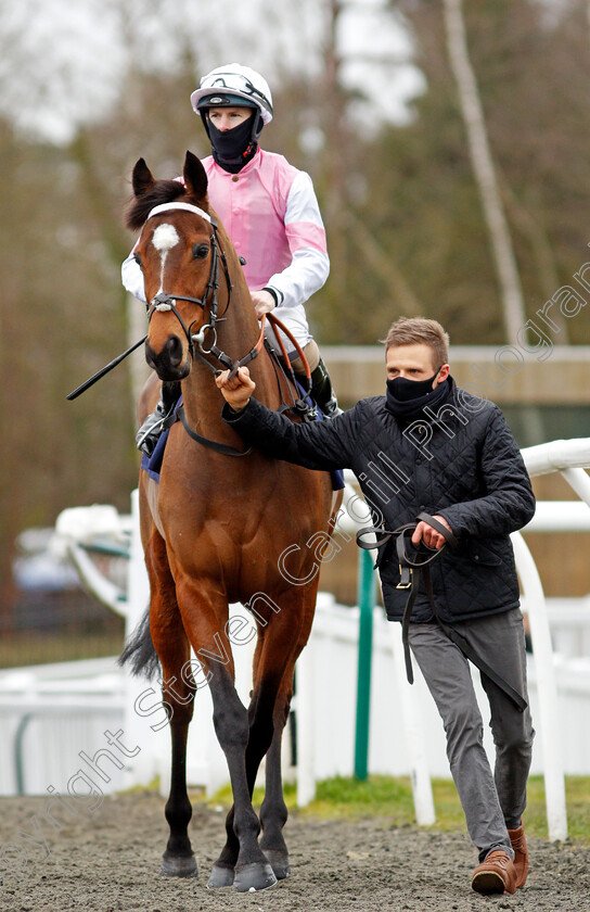 Attracted-0001 
 ATTRACTED (Richard Kingscote) winner of The Bombardier Novice Stakes
Lingfield 19 Feb 2021 - Pic Steven Cargill / Racingfotos.com