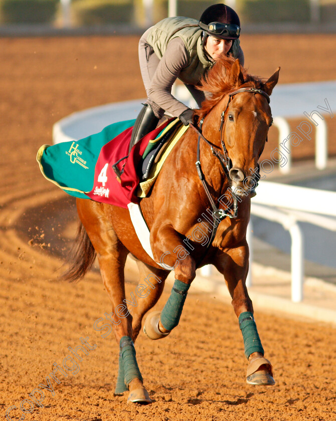 Skazino-0001 
 SKAZINO training for The Turf handicap
King Abdulaziz Racetrack, Riyadh, Saudi Arabia 22 Feb 2022 - Pic Steven Cargill / Racingfotos.com