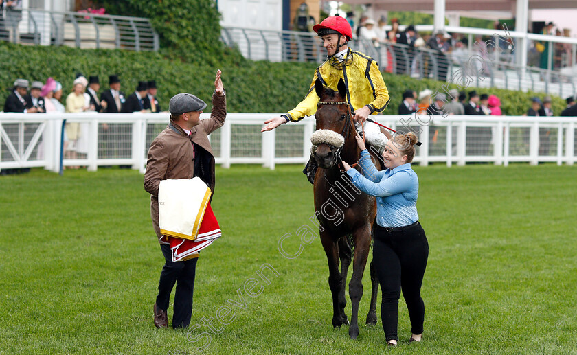 Move-Swiftly-0010 
 MOVE SWIFTLY (Daniel Tudhope) after The Duke Of Cambridge Stakes
Royal Ascot 19 Jun 2019 - Pic Steven Cargill / Racingfotos.com