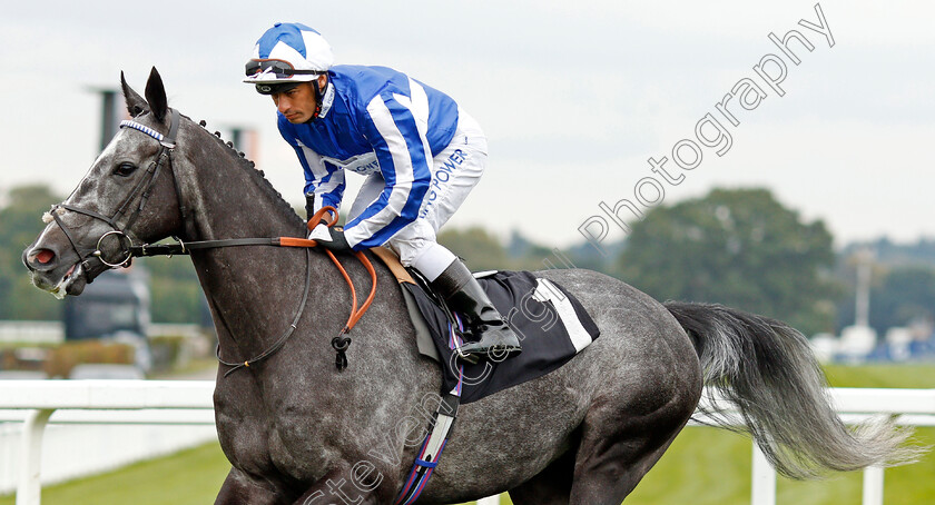 Morando-0002 
 MORANDO (Silvestre De Sousa) before The Property Raceday Cumberland Lodge Stakes
Ascot 5 Oct 2019 - Pic Steven Cargill / Racingfotos.com