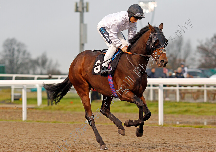 Mack-The-Knife-0001 
 MACK THE KNIFE (Nicola Currie)
Chelmsford 25 Nov 2019 - Pic Steven Cargill / Racingfotos.com