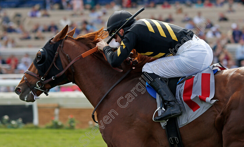 Ritzy-A-P-0001 
 RITZY A. P. (Flavien Prat) wins Allowance race at Del Mar, USA 3 Nov 2017 - Pic Steven Cargill / Racingfotos.com