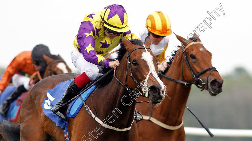 Daddies-Girl-0005 
 DADDIES GIRL (Theodore Ladd) wins The British Stallion Studs EBF Fillies Handicap
Nottingham 30 Apr 2019 - Pic Steven Cargill / Racingfotos.com