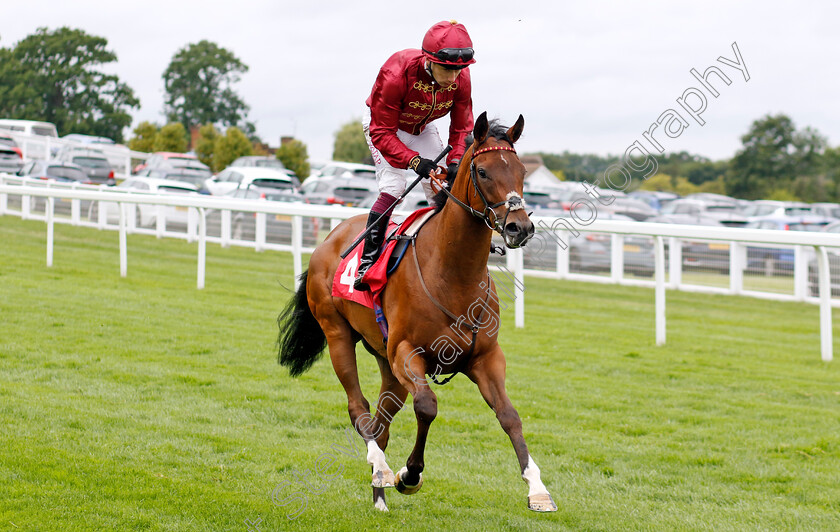 Del-Ray-0002 
 DEL RAY (Oisin Murphy)
Sandown 25 Jul 2024 - Pic Steven Cargill / Racingfotos.com