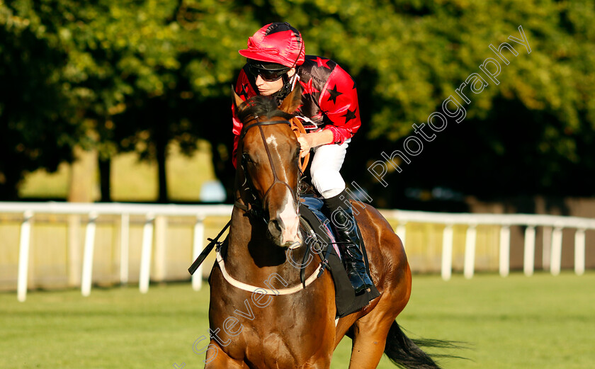 Roman-Emperor-0001 
 ROMAN EMPEROR (Luke Morris)
Newmarket 9 Aug 2024 - Pic Steven Cargill / Racingfotos.com