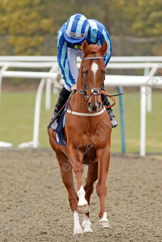 Pact-Of-Steel-0001 
 PACT OF STEEL (Hector Crouch) Lingfield 14 Feb 2018 - Pic Steven Cargill / Racingfotos.com