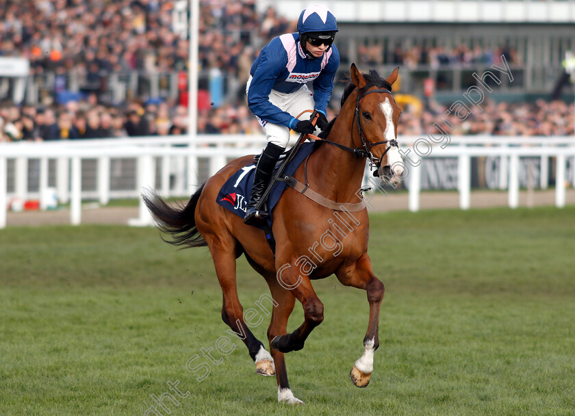 Capeland-0001 
 CAPELAND (Harry Cobden) 
Cheltenham 14 Mar 2019 - Pic Steven Cargill / Racingfotos.com