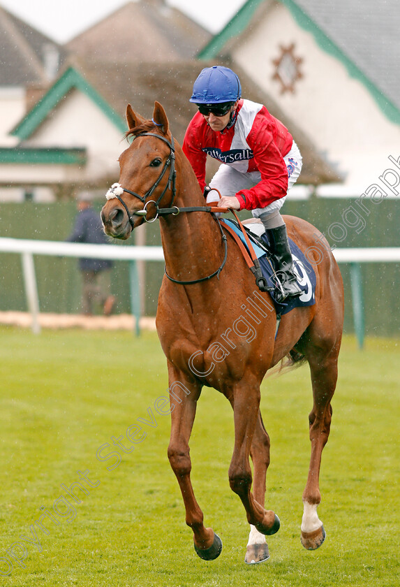 Rapier-0001 
 RAPIER (Joe Fanning) Yarmouth 24 Apr 2018 - Pic Steven Cargill / Racingfotos.com