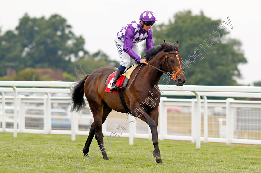 Bridge 
 BRIDGE (Jim Crowley)
Sandown 21 Jul 2022 - Pic Steven Cargill / Racingfotos.com