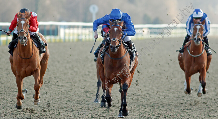 Forest-Of-Dean-0005 
 FOREST OF DEAN (centre, Robert Havlin) beats FELIX (left) in The Betway Winter Derby Stakes
Lingfield 27 Feb 2021 - Pic Steven Cargill / Racingfotos.com