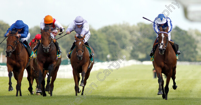 Fox-Chairman-0004 
 FOX CHAIRMAN (right, Silvestre De Sousa) beats PONDUS (2nd left) FIRST NATION (left) and DOLPHIN VISTA (2nd right) in The bet365 Steventon Stakes
Newbury 20 Jul 2019 - Pic Steven Cargill / Racingfotos.com