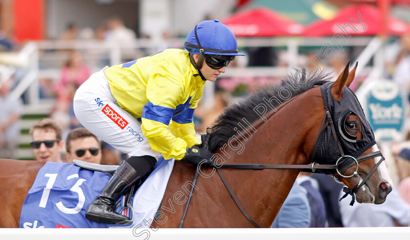 Soulcombe-0001 
 SOULCOMBE (Hollie Doyle) winner of The Sky Bet Melrose Stakes
York 20 Aug 2022 - Pic Steven Cargill / Racingfotos.com