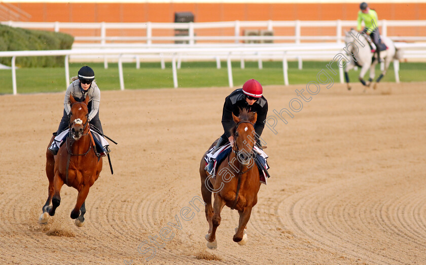 Mostawaa-and-The-Caribbean-0002 
 MOSTAWAA leading THE CARIBBEAN in training at the Dubai Racing Carnival
Meydan 1 Mar 2024 - Pic Steven Cargill / Racingfotos.com