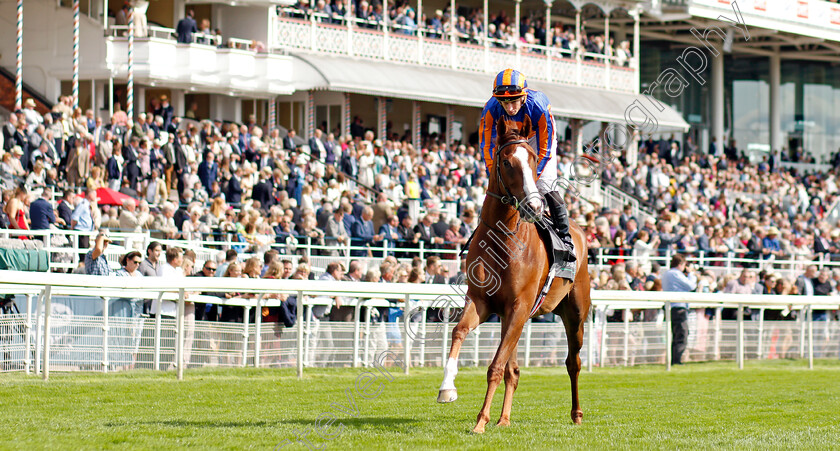 Love-0002 
 LOVE (Ryan Moore)
York 18 Aug 2021 - Pic Steven Cargill / Racingfotos.com