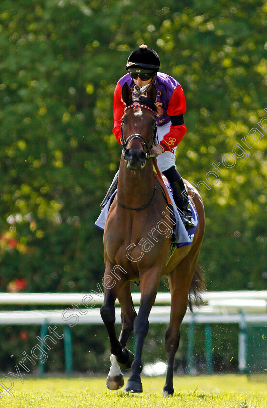 Light-Refrain-0001 
 LIGHT REFRAIN (Tom Marquand)
Haydock 22 May 2021 - Pic Steven Cargill / Racingfotos.com