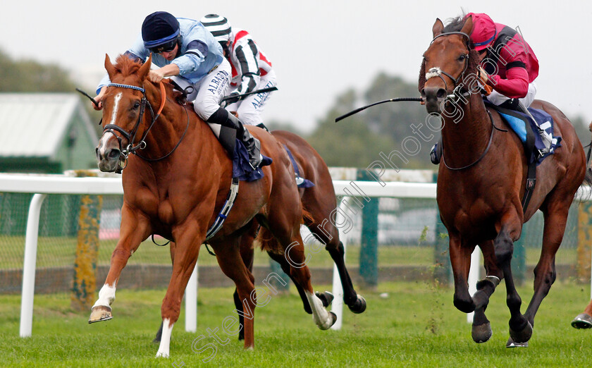 Nicklaus-0006 
 NICKLAUS (left, Tom Marquand) beats KING RAGNAR (right) in The attheraces.com Handicap
Yarmouth 16 Sep 2020 - Pic Steven Cargill / Racingfotos.com